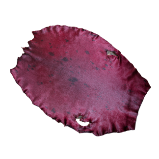 Dyed Harp Seal Skin Burgundy