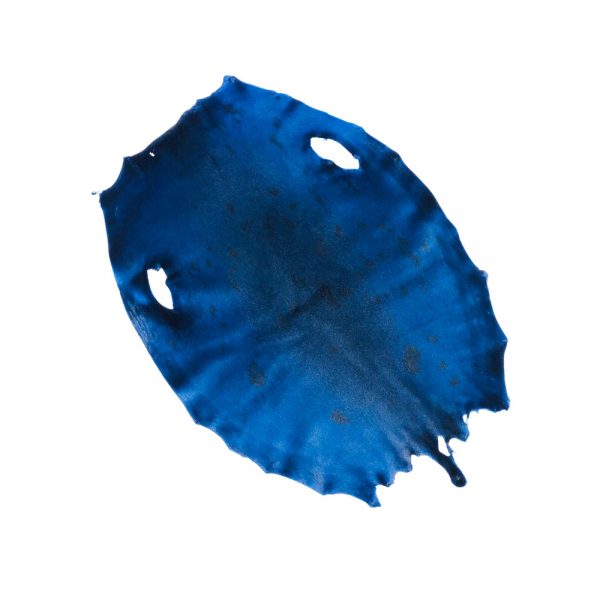 Bill Word Furs Electric Blue Dyed