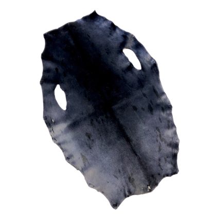 Bill Word Furs Navy Dyed Seal